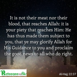 Qurbani