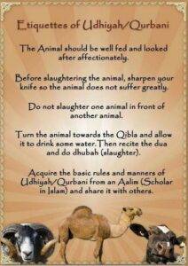 Qurbani 