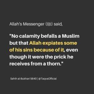 No fatigue, nor disease, nor sorrow, nor sadness, nor hurt, nor distress befalls a Muslim, even if it were the prick he receives from a thorn, but that Allah expiates some of his sins for that."
