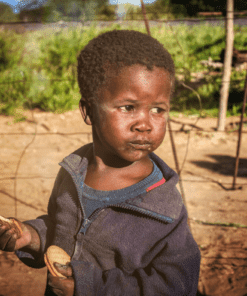 Orphans